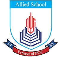 Muhammad Umer Aamir Software engineer web developer Comsats University FCCU Umeraamir developer coder